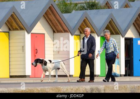 Swanage, Dorset, UK. 20. Juni 2017.   Großbritannien Wetter.  Ein Spaziergang entlang der Strandpromenade in den Badeort Swanage in Dorset an einem Morgen diesig Sonnenstrahlen Hundebesitzer.  Bildnachweis: Graham Hunt/Alamy Live-Nachrichten Stockfoto