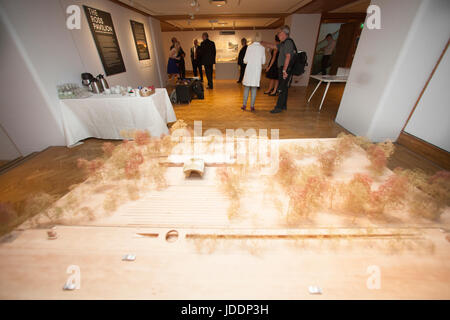 Edinburgh, Schottland. 20. Juni 2017. Drücken Sie die Anzeige von sieben Shortlist internationaler Architekten für den neuen Veranstaltungsort, das Ross Bandstand im Westen Princes Street Gardens Edinburgh zu ersetzen. Die Ausstellung läuft vom 21. Juni bis 30. Juli. Pako Mera/Alamy Live-Nachrichten. Stockfoto