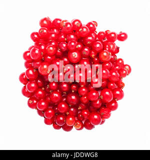 Rote Johannisbeeren auf weißem Hintergrund Stockfoto