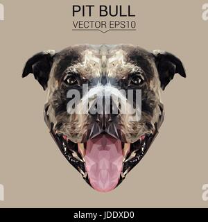 American Pit Bull Terrier Hund Tier low-Poly Design Vektor-Illustration. Stock Vektor