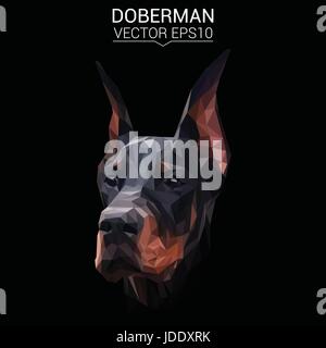 Dobermann Hund Tier low-Poly-Design. Dreieck-Vektor-Illustration. Stock Vektor