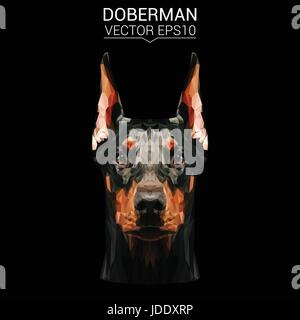 Dobermann Hund Tier low-Poly-Design. Dreieck-Vektor-Illustration. Stock Vektor