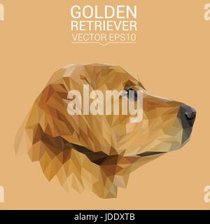 Golden Retriever Hund Tier low-Poly-Design. Dreieck-Vektor-Illustration. Stock Vektor