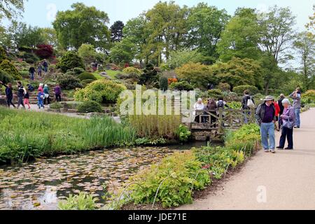 Wisley, Surrey, UK - 30. April 2017: Besucher genießen die schönen formalen angelegten Garten mit Bäume und See Stockfoto