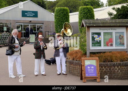 Wisley, Surrey, UK - 30. April 2017: Trad Jazz Trio am Eingang der RHS Wisley Garden spielen Stockfoto