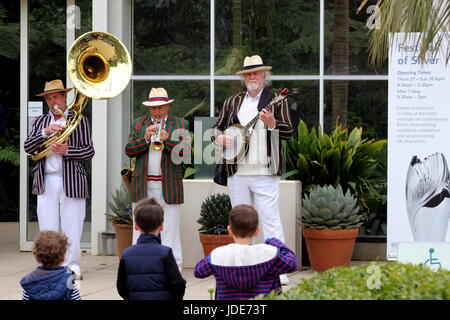 Wisley, Surrey, UK - 30. April 2017: Trad Jazz Trio Musiker spielen im freien Tropenhaus Stockfoto