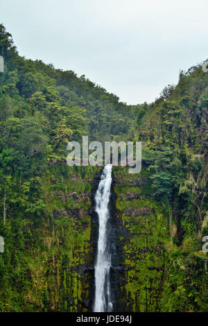 Dieses Foto wurde während Abenteuer rund um Hawaii. Akaka Falls ist wirklich ein Juwel und ich würde es empfehlen für jeden, der gerade in der Gegend ist. Stockfoto