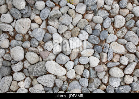 River Rocks Stockfoto