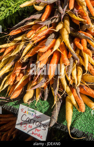 Haufen von organischen Regenbogen Karotten auf einem Bauernmarkt in Issaquah, Washington, USA Stockfoto