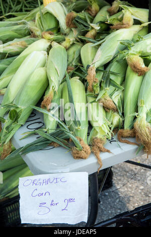 Stapel von Bio Zuckermais zum Verkauf auf einem Bauernmarkt in Issaquah, Washington, USA Stockfoto