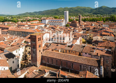 Luftaufnahme von Lucca in der Toskana, an einem sonnigen Nachmittag; die weiße Kirche im Hintergrund ist die Kathedrale Stockfoto