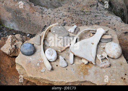 Handwerkzeuge von Höhlenmenschen gefunden in den Höhlen auf dem Display verwendet. Fotografiert in Israel, Carmel Berg, Nahal Mearot (Höhle Fluss) Naturschutzgebiet mit Stockfoto