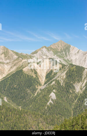 Hellen Sommermorgen in den Karpaten. Malerische outdoor-Szene auf das Bergtal im Juni, Ukraine, Tatariv Lage des Dorfes, Europa Stockfoto