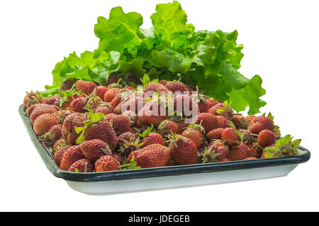 Auf weiß weiße und schwarze Fach oder quadratische Platte voll der roten Erdbeeren mit Salat dekoriert isoliert. Stockfoto