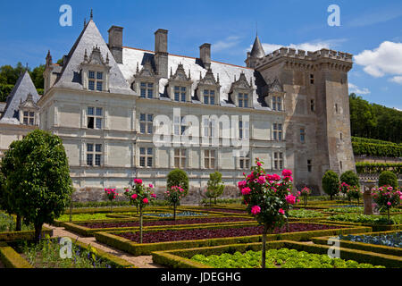 Villandry Chateau, Frankreich, Europa Stockfoto