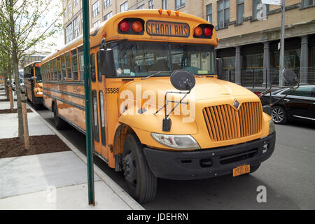 Bluebird internationalen gelben Schulbus New York City USA Stockfoto