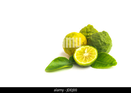 Citrus Hystrix, Bergamotte, Kaffernlimette, Blutegel Kalk isoliert auf weißem Hintergrund. Stockfoto