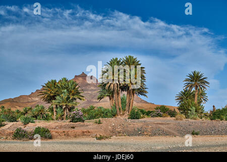 Berglandschaft des Jbel Kissane mit Palmen in der Nähe von Agdz, Draa-Tal, Marokko, Afrika Stockfoto