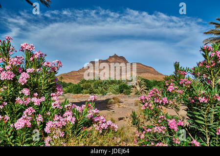 Berglandschaft des Jbel Kissane mit Palmen in der Nähe von Agdz, Draa-Tal, Marokko, Afrika Stockfoto