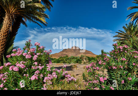 Berglandschaft des Jbel Kissane mit Palmen in der Nähe von Agdz, Draa-Tal, Marokko, Afrika Stockfoto