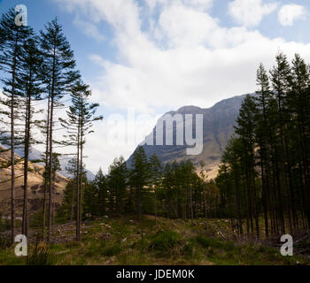 Entwaldung und Berglandschaft. Glencoe, Scotland, UK Stockfoto