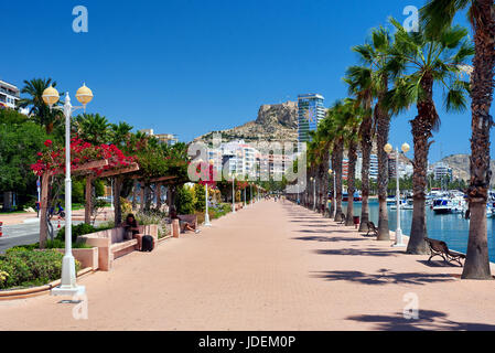 Alicante, Spanien-Juni 20, 2017: Palmen gesäumten Strandpromenade am sonnigen Sommertag. Es ist eine der schönsten Promenaden Spaniens Stockfoto