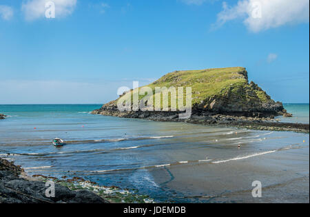 Der Pembrokeshire Coast am Abercastle Stockfoto