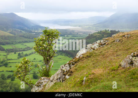 Blick vom Aufstieg zum Catbells Stockfoto