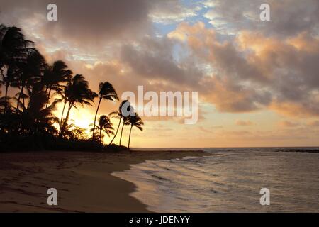 Die Ufer von Hawaii sind ganz erstaunlich. Das Wasser Sie hypnotisieren und eine sofortige Gefühl des Friedens zu bringen. Stockfoto
