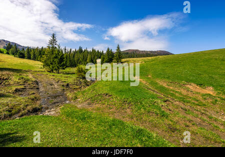 kleinen wilden Bach unter den Wald auf grasbewachsenen Hügel. sehr schöne Landschaft bei sonnigem Wetter Stockfoto