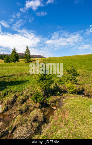 kleinen wilden Bach unter den Wald auf grasbewachsenen Hügel. sehr schöne Landschaft bei sonnigem Wetter Stockfoto