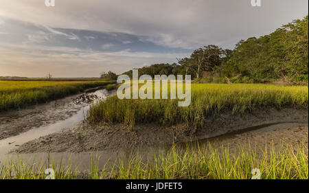 Egans Creek Teil des Egans Creek Greenway, Amelia Island/Fernandina, in NE Florida. Ein wunderbar üppige Ökosystem, die Tierwelt und Pflanzenwelt unterstützt Stockfoto