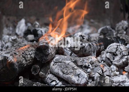 Brennende Maschinenbordbücher im grill Stockfoto