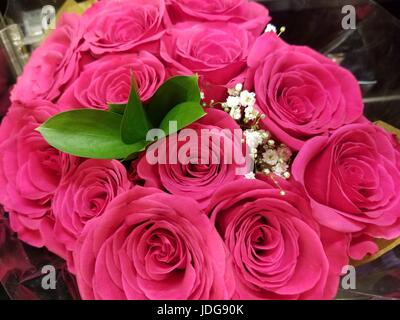 Schöner Blumenstrauß rosa Rosen. Fotografiert in einer natürlichen Umgebung bringt die feineren Sorten von rosa Farbtönen akzentuiert durch natürliche grüne Blätter. Stockfoto