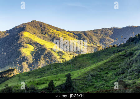 Dramatische Landschaft außerhalb Los Nevados Nationalpark in der Nähe von Salento, Kolumbien. Stockfoto