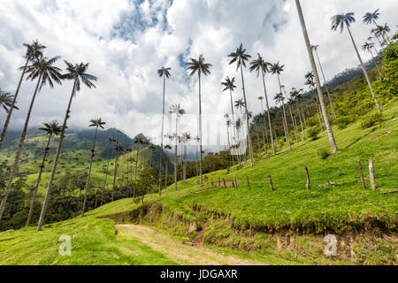 Eine Straße hinunter schlängelt sich durch das Cocora-Tal in der Nähe von Salento, Kolumbien. Stockfoto