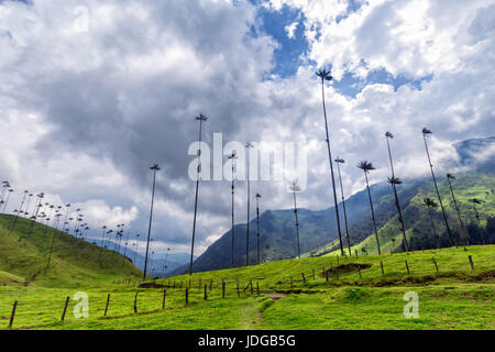 Dramatische Wolken über das Cocora-Tal in der Nähe von Salento, Kolumbien. Stockfoto
