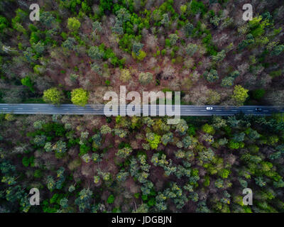 Straße wird horizontal durch schöne grüne orange Waldlandschaft, Luftbild Stockfoto