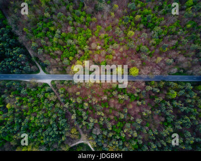 Straße und Kreuzung durchgehen horizontal schön grün orange Waldlandschaft, Luftbild Stockfoto