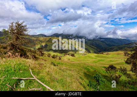 Dramatischen Blick auf Grünland in den Bergen außerhalb von Salento, Kolumbien. Stockfoto