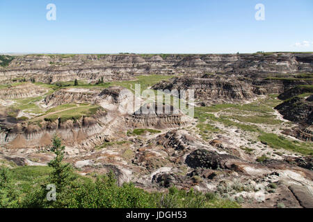 Horseshoe Canyon in Alberta, Kanada. Der Canyon, wo die Schichtung der Rock sehen kann, ist in den Badlands. Stockfoto