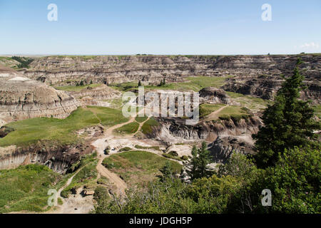 Horseshoe Canyon in Alberta, Kanada. Der Canyon, wo die Schichtung der Rock sehen kann, ist in den Badlands. Stockfoto