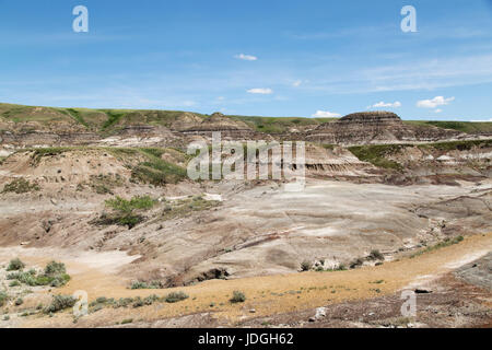 Midland Provincial Park in der Nähe von Drumheller, in Alberta, Kanada. Der Park hat eine Self-guided Trail für die Erkundung der Landschaft der Badlands. Stockfoto