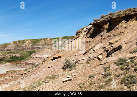 Midland Provincial Park in der Nähe von Drumheller, in Alberta, Kanada. Der Park hat eine Self-guided Trail für die Erkundung der Landschaft der Badlands. Stockfoto
