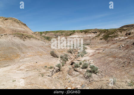 Midland Provincial Park in der Nähe von Drumheller, in Alberta, Kanada. Der Park hat eine Self-guided Trail für die Erkundung der Landschaft der Badlands. Stockfoto