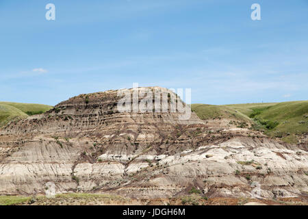 Einem flachen Hügel, bekannt als eine Bank, in Midland Provincial Park in der Nähe von Drumheller, in Alberta, Kanada. Der Park verfügt über ein Self-guided Trail für die Erkundung der Stockfoto