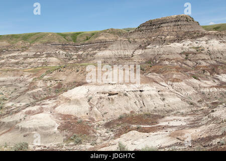 Einem flachen Hügel, bekannt als eine Bank, in Midland Provincial Park in der Nähe von Drumheller, in Alberta, Kanada. Der Park verfügt über ein Self-guided Trail für die Erkundung der Stockfoto