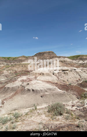 Midland Provincial Park in der Nähe von Drumheller, in Alberta, Kanada. Der Park hat eine Self-guided Trail für die Erkundung der Landschaft der Badlands. Stockfoto