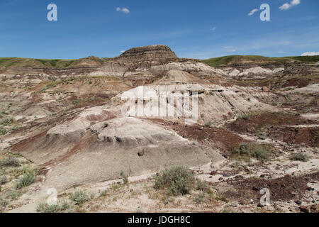 Midland Provincial Park in der Nähe von Drumheller, in Alberta, Kanada. Der Park hat eine Self-guided Trail für die Erkundung der Landschaft der Badlands. Stockfoto
