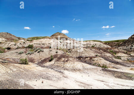 Ein Hügel, bekannt als Sitzbank, erhebt sich in Midland Provincial Park in der Nähe von Drumheller, in Alberta, Kanada. Der Park verfügt über ein Self-guided Trail für die Erkundung der la Stockfoto
